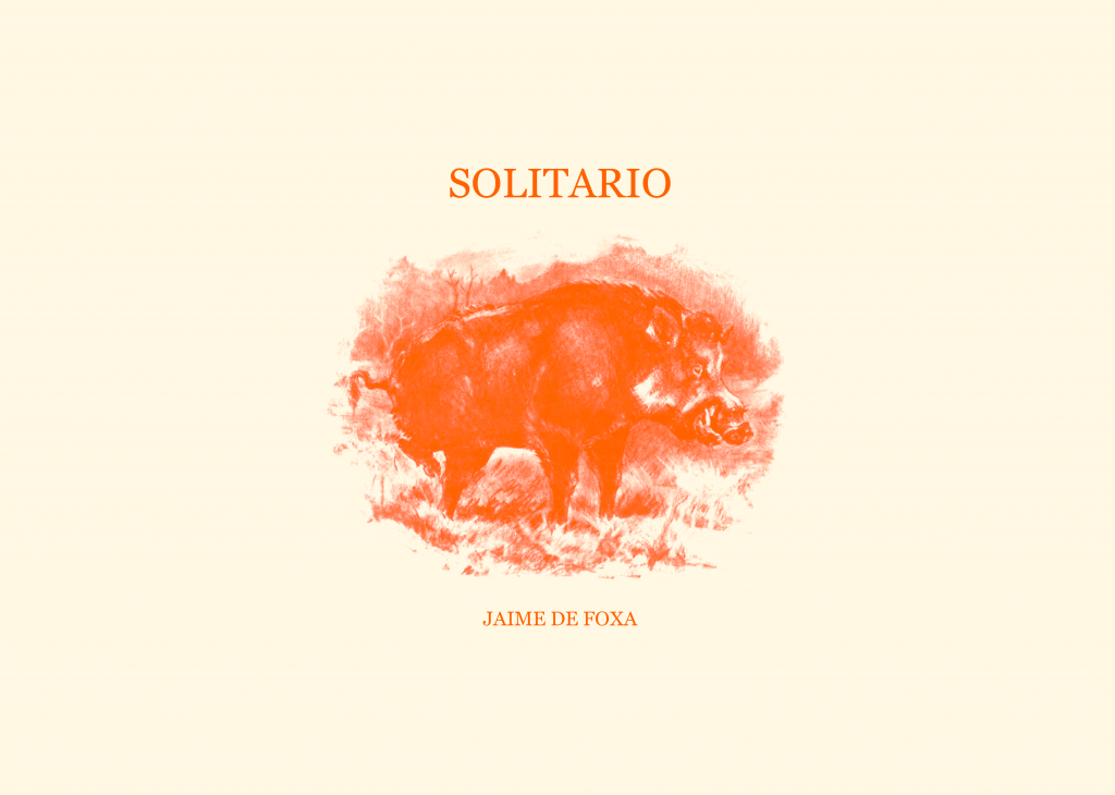 portada libro solitario